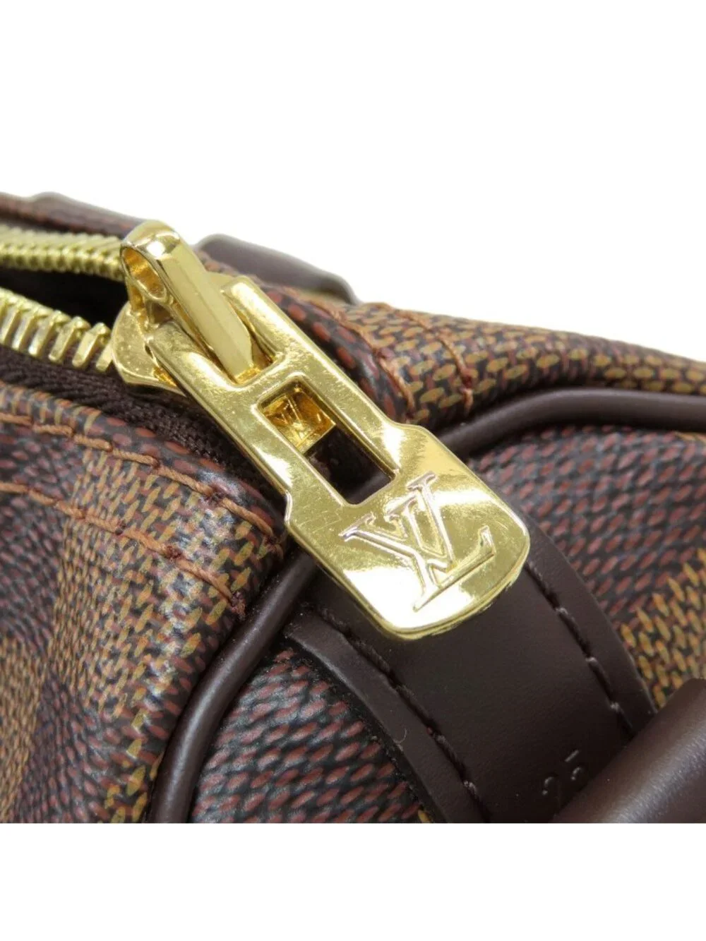 Louis Vuitton brand louis