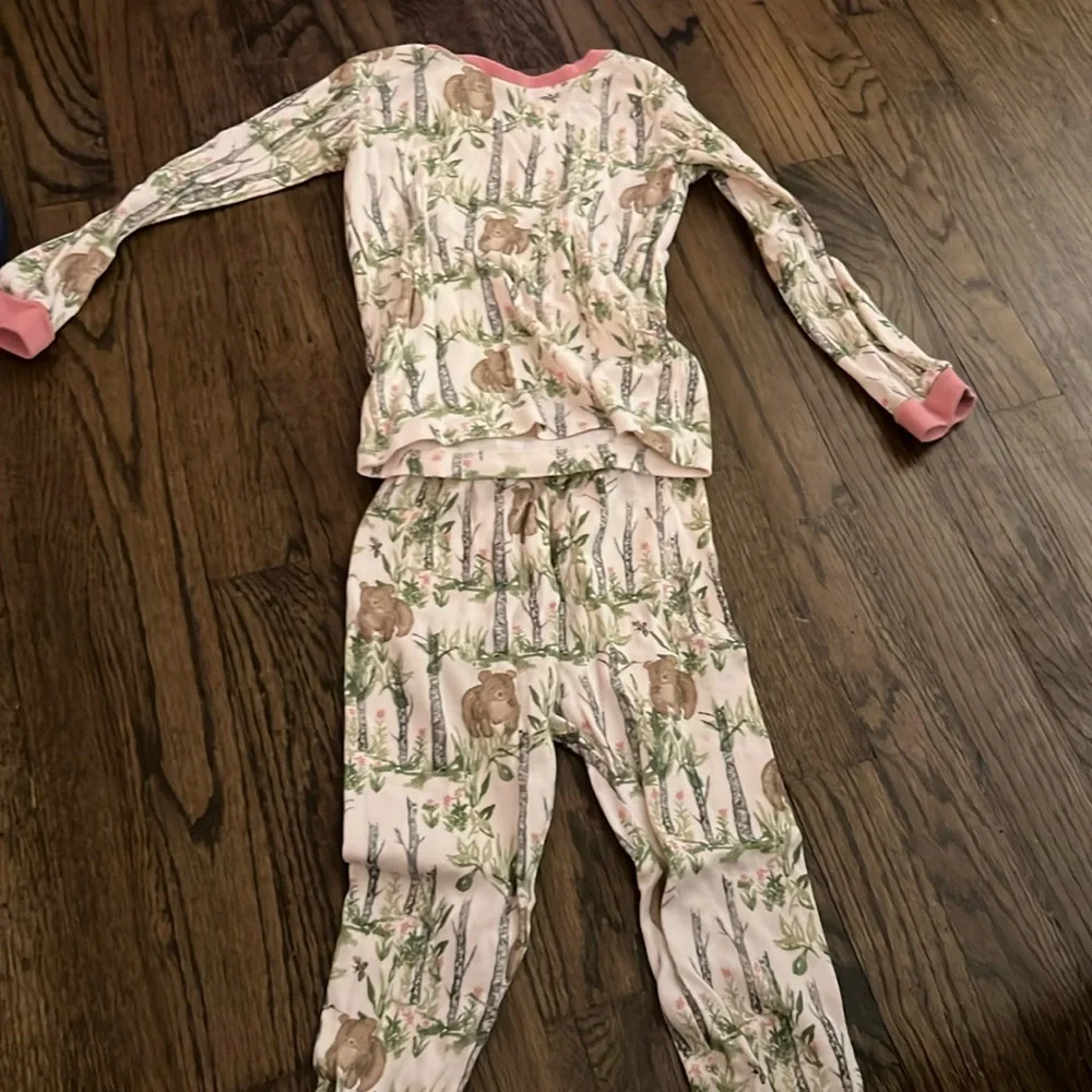 4T Burt’s Bee’s Kids Bamboo and Bear Pajamas