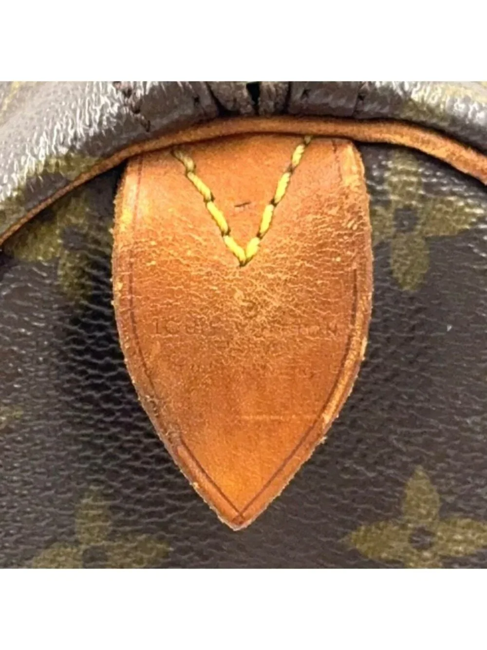 Louis Vuitton brand louis