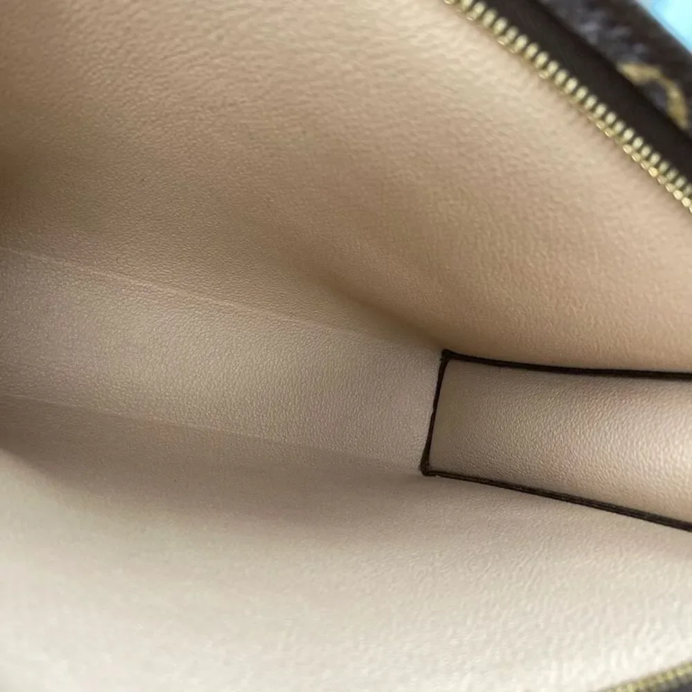 Louis Vuitton brand louis
