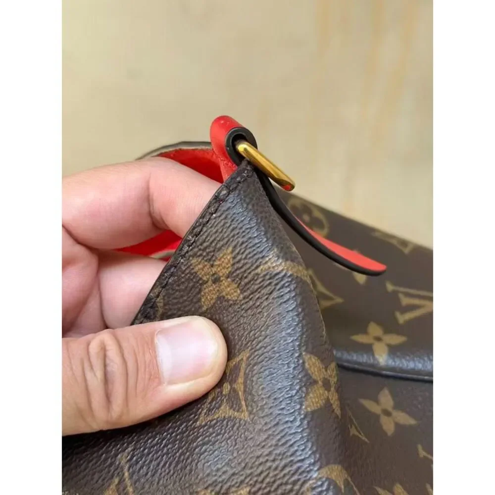 Louis Vuitton brand louis