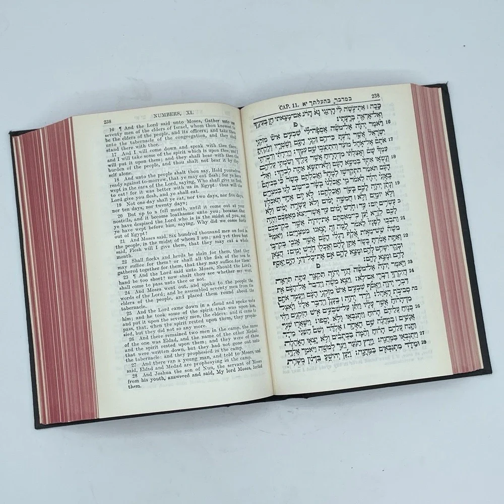 The Holy Bible 24 Books of the Holy Scriptures Vol I & II Hebrew (ISAAC‎ LEESER)