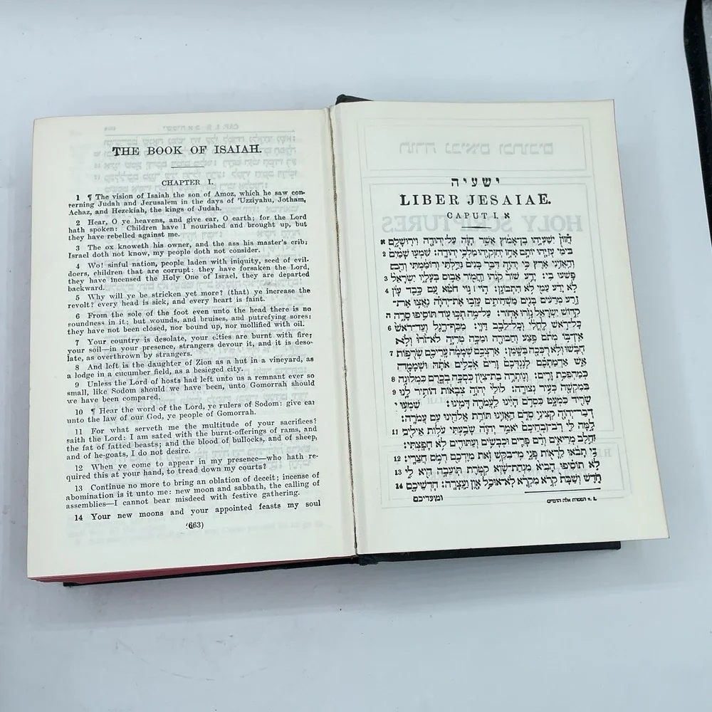 The Holy Bible 24 Books of the Holy Scriptures Vol I & II Hebrew (ISAAC‎ LEESER)