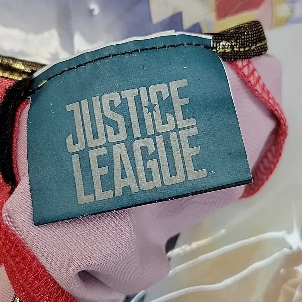 Justice League dress up