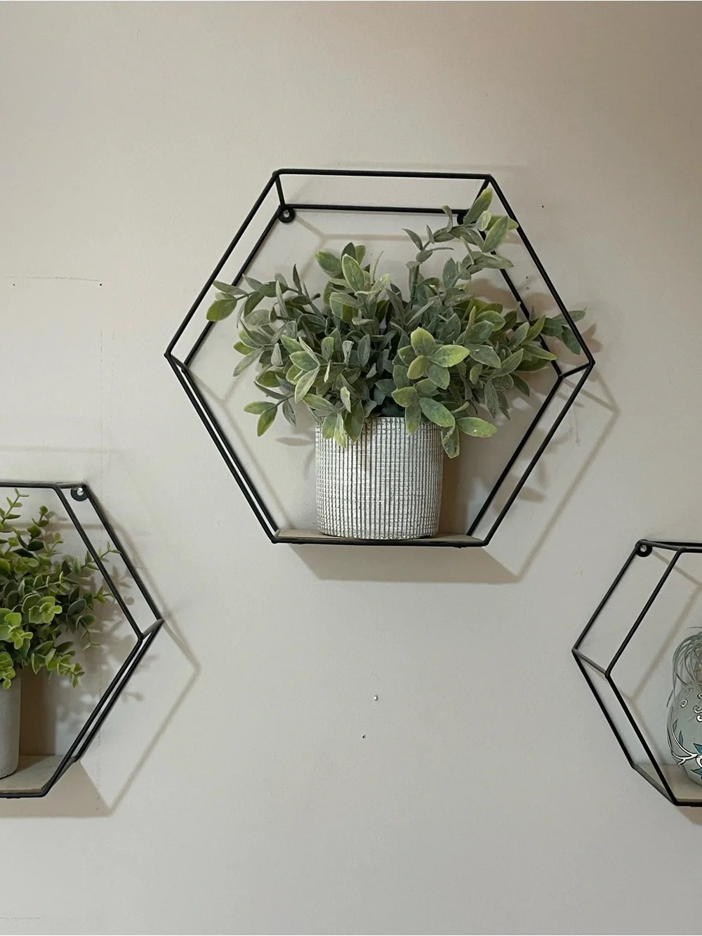 3 Black Hexagon Metal Wall Shelves-Modern Wall Decor.  Plants NOT included