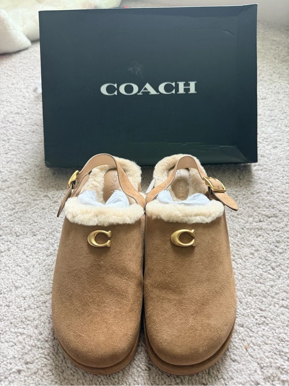 Coach Women's Sculpted C Platform Clogs in Shearling and Suede