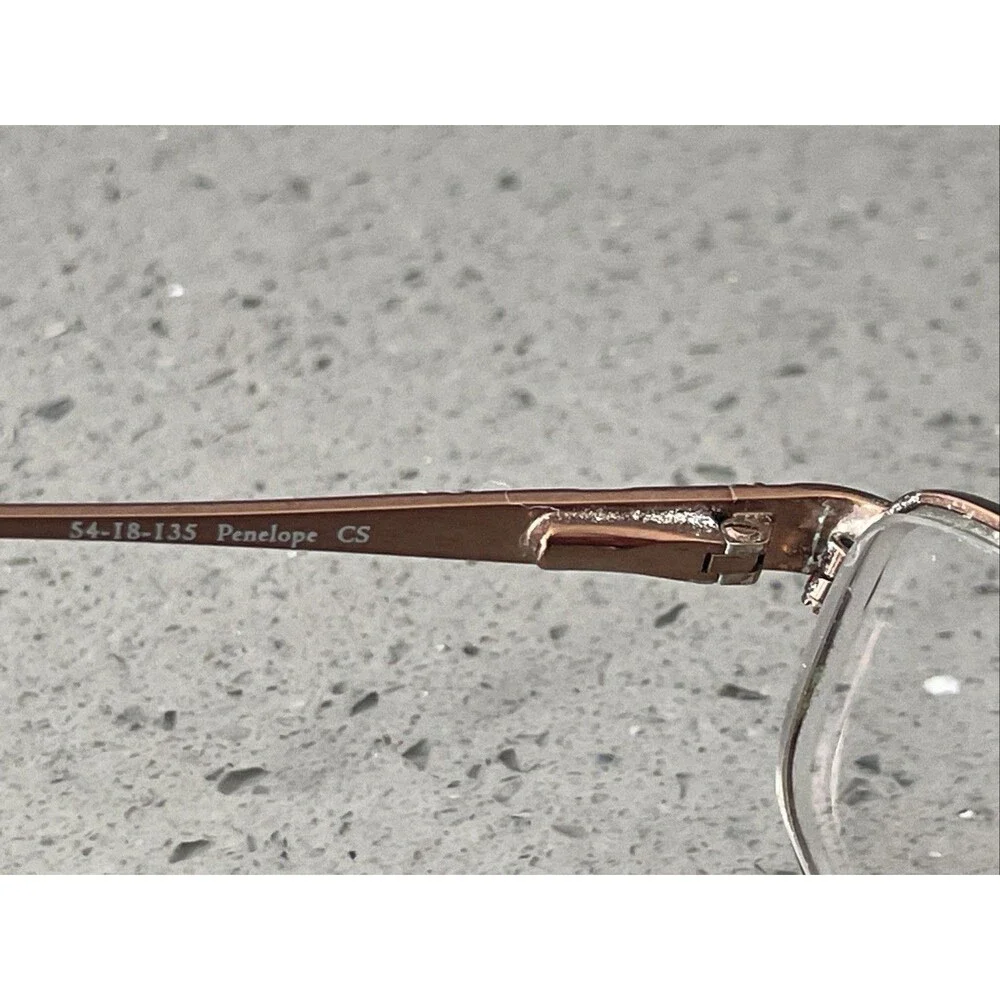 Dana Buchman this frames