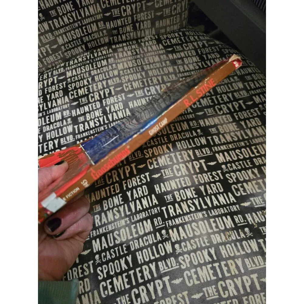 Scholastic pre owned