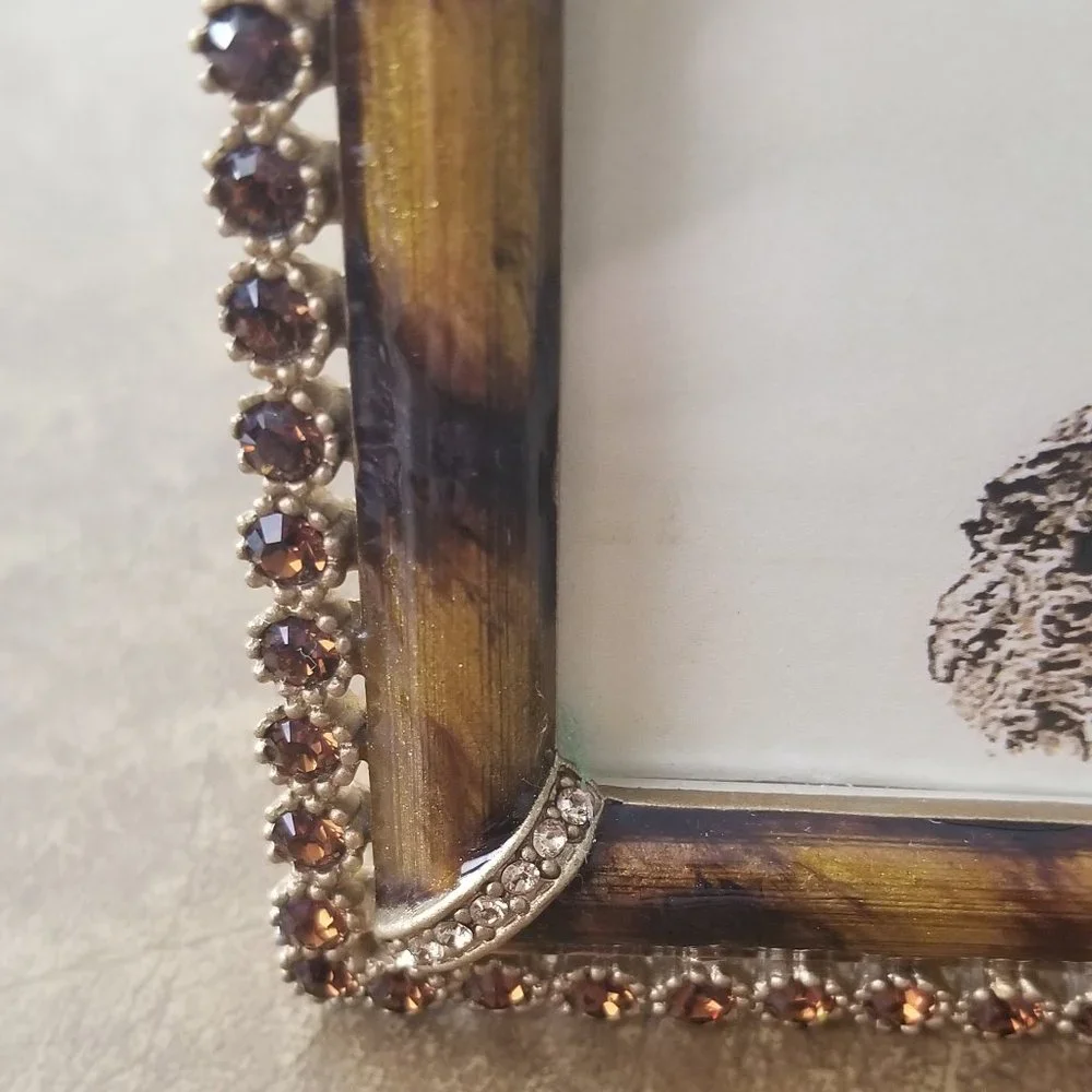 RARE JAY STRONGWATER LORRAINE LUCAS LEOPARD JUNGLE PAVE CRYSTAL ENAMEL FRAME