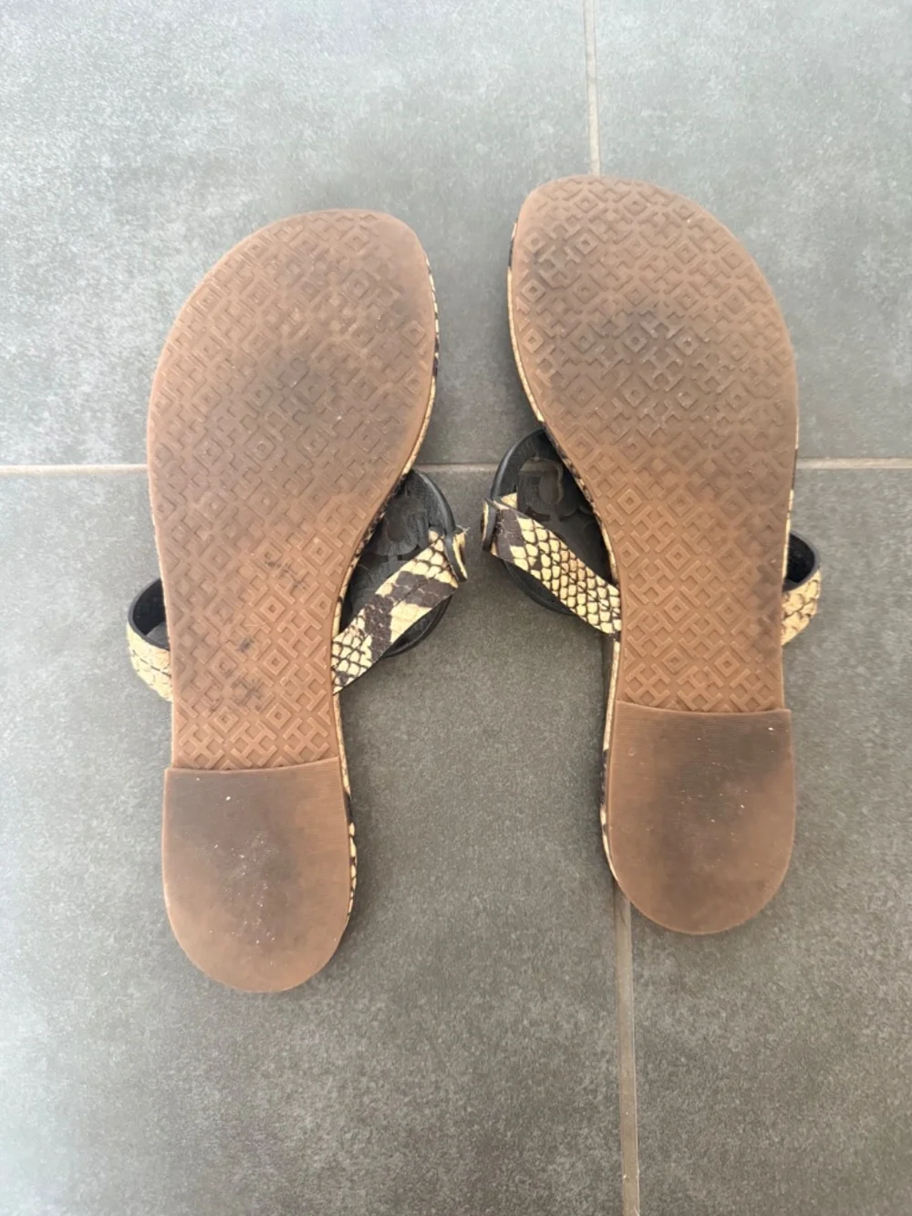 Tory Burch snake skin