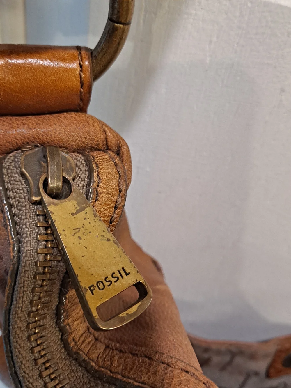 Fossil soft lambhide