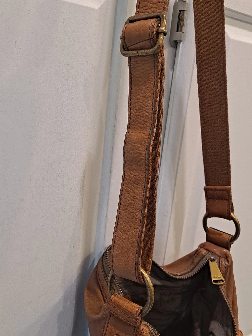 Fossil soft lambhide