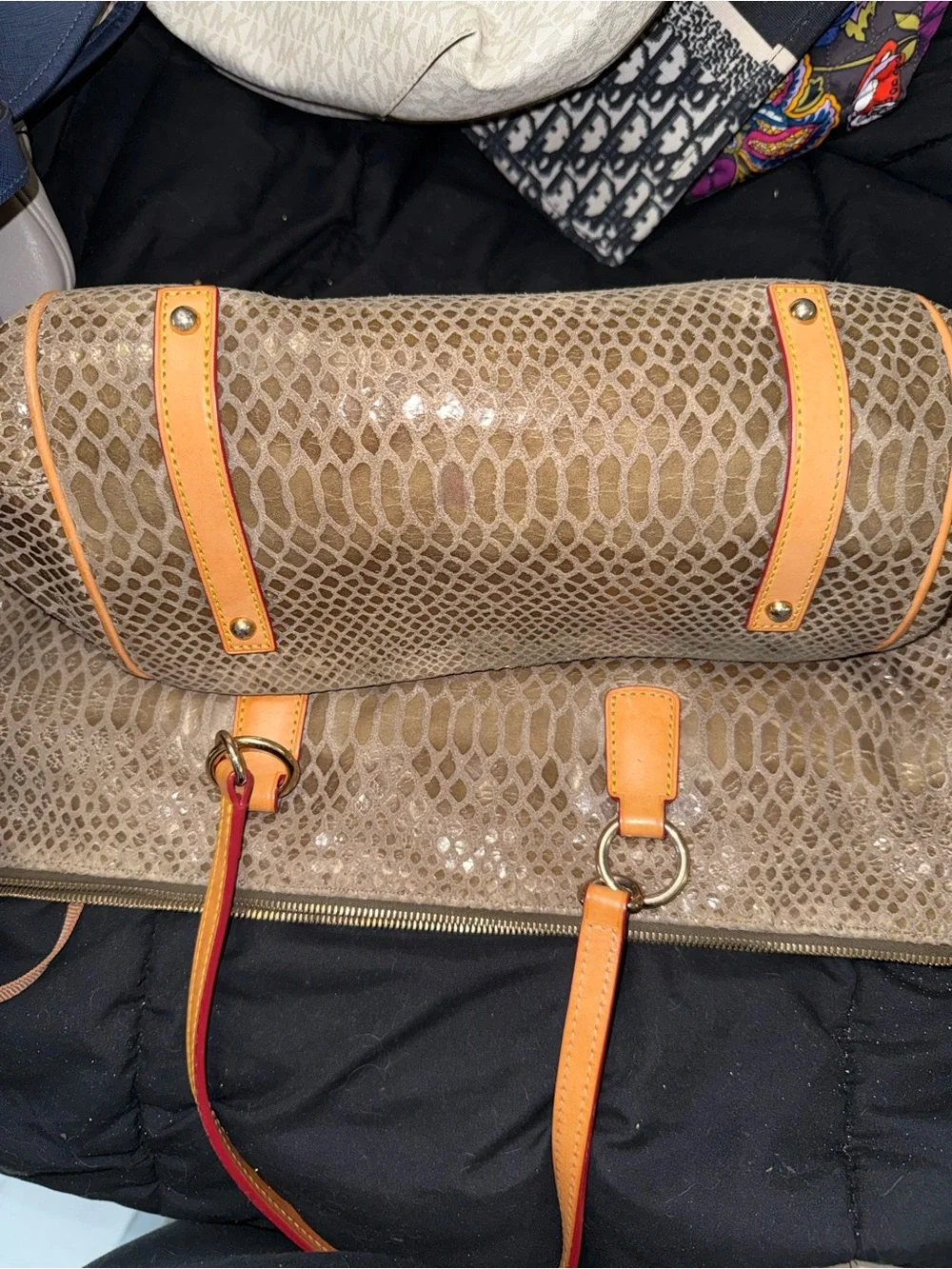 Dooney & Bourke Beige Snake-Print Tote with Orange Trim and Red Handles