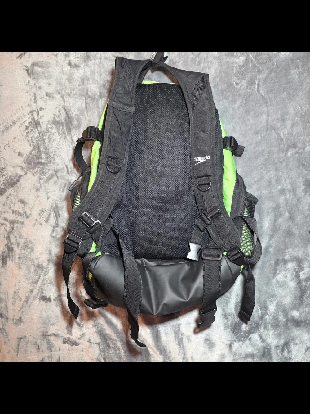 Speedo teamster 35l