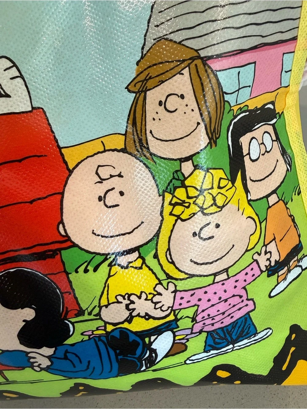 Peanuts 13” 15” tote