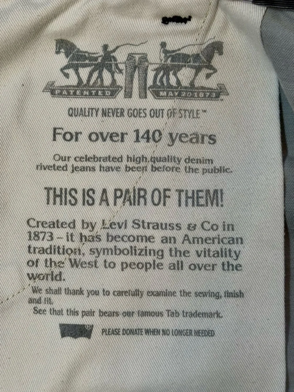 Levis levi cargo