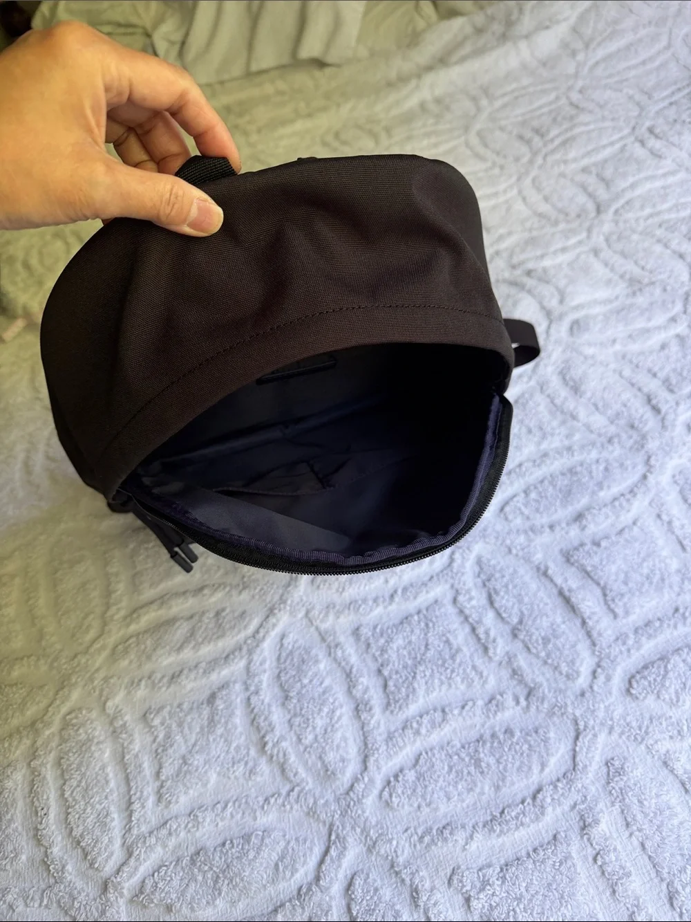 Lacoste sleek black