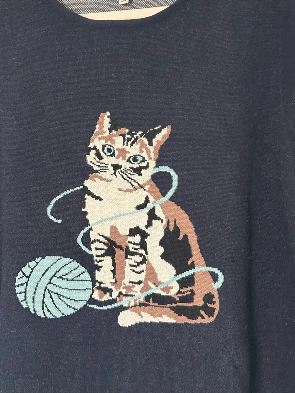 Astrologie cat whimsical