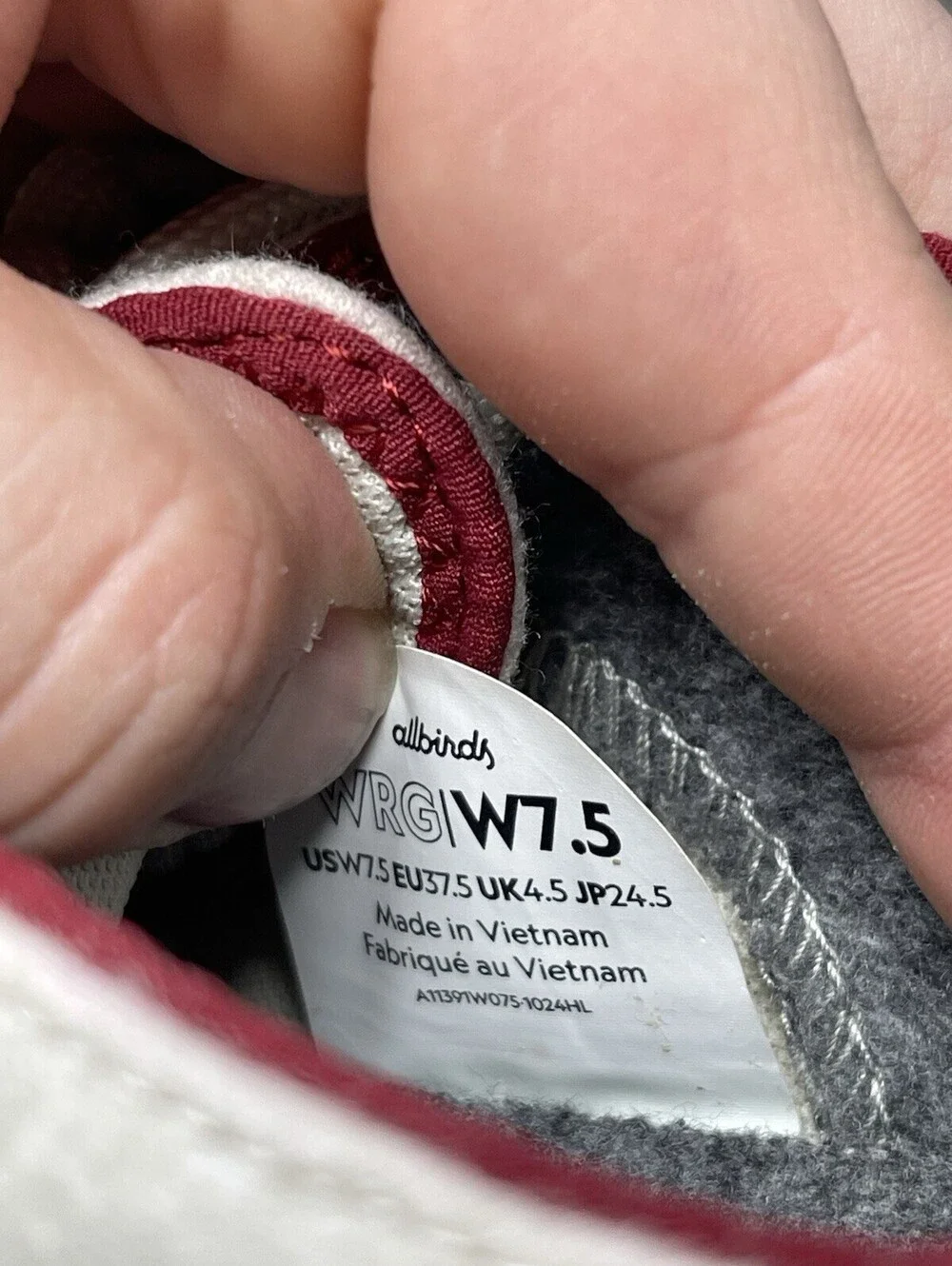 allbirds brand model