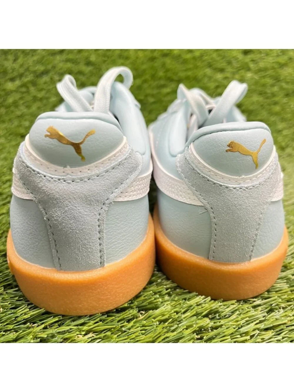 Puma provide shown