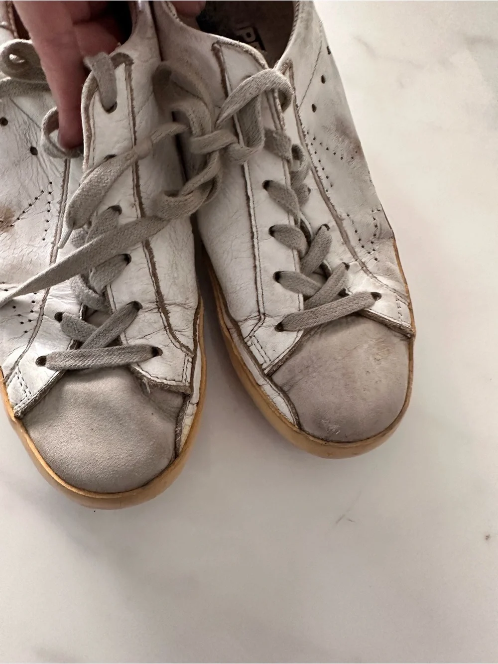Golden Goose golden goose