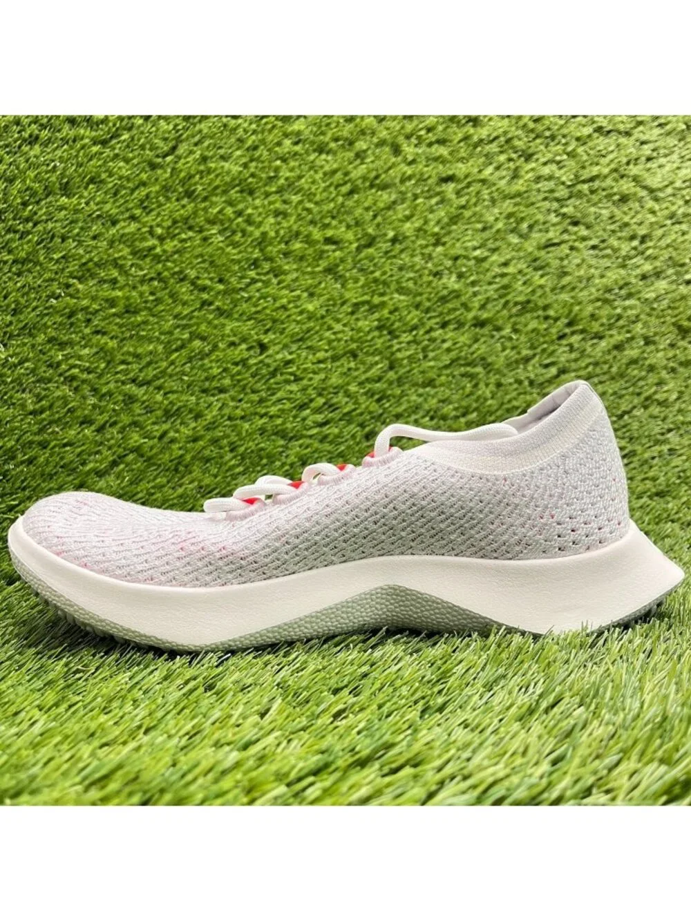 allbirds please review