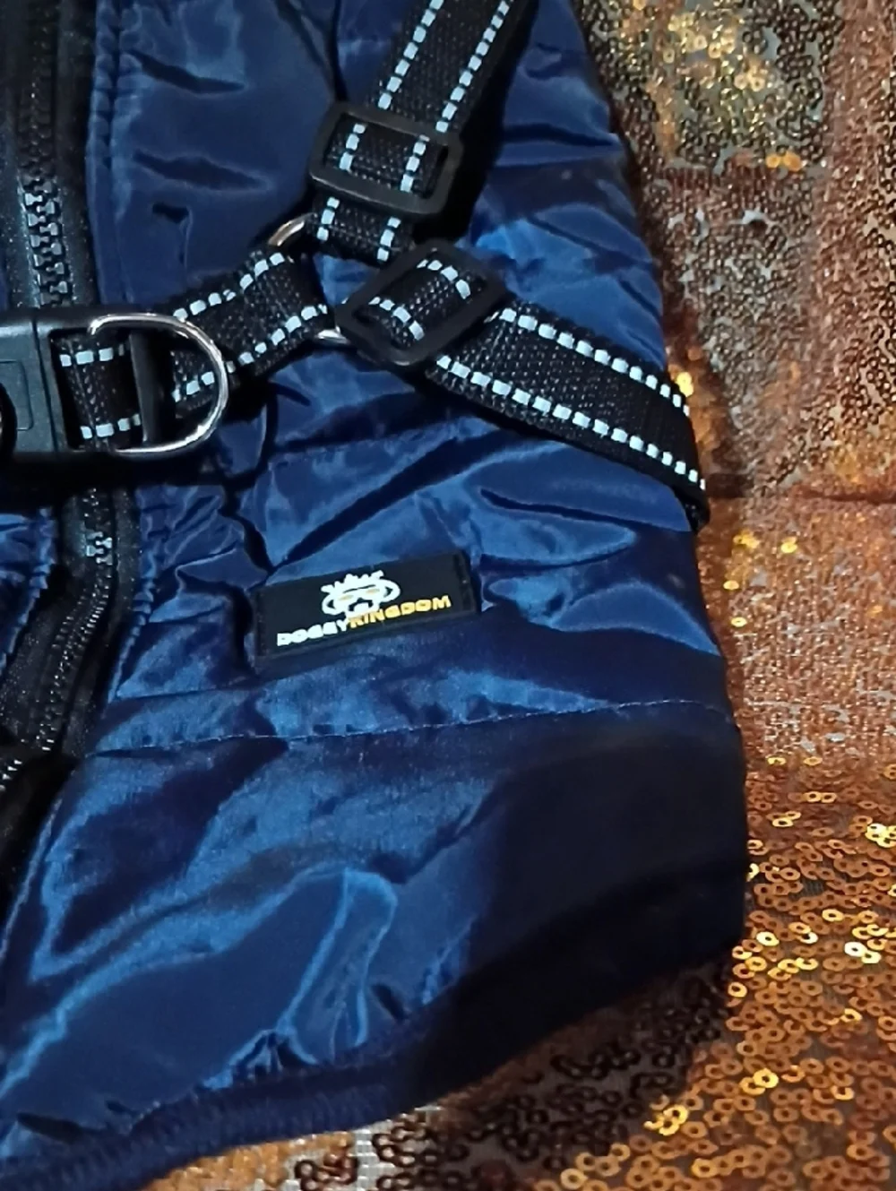 doggy kingdom adds zipper easy