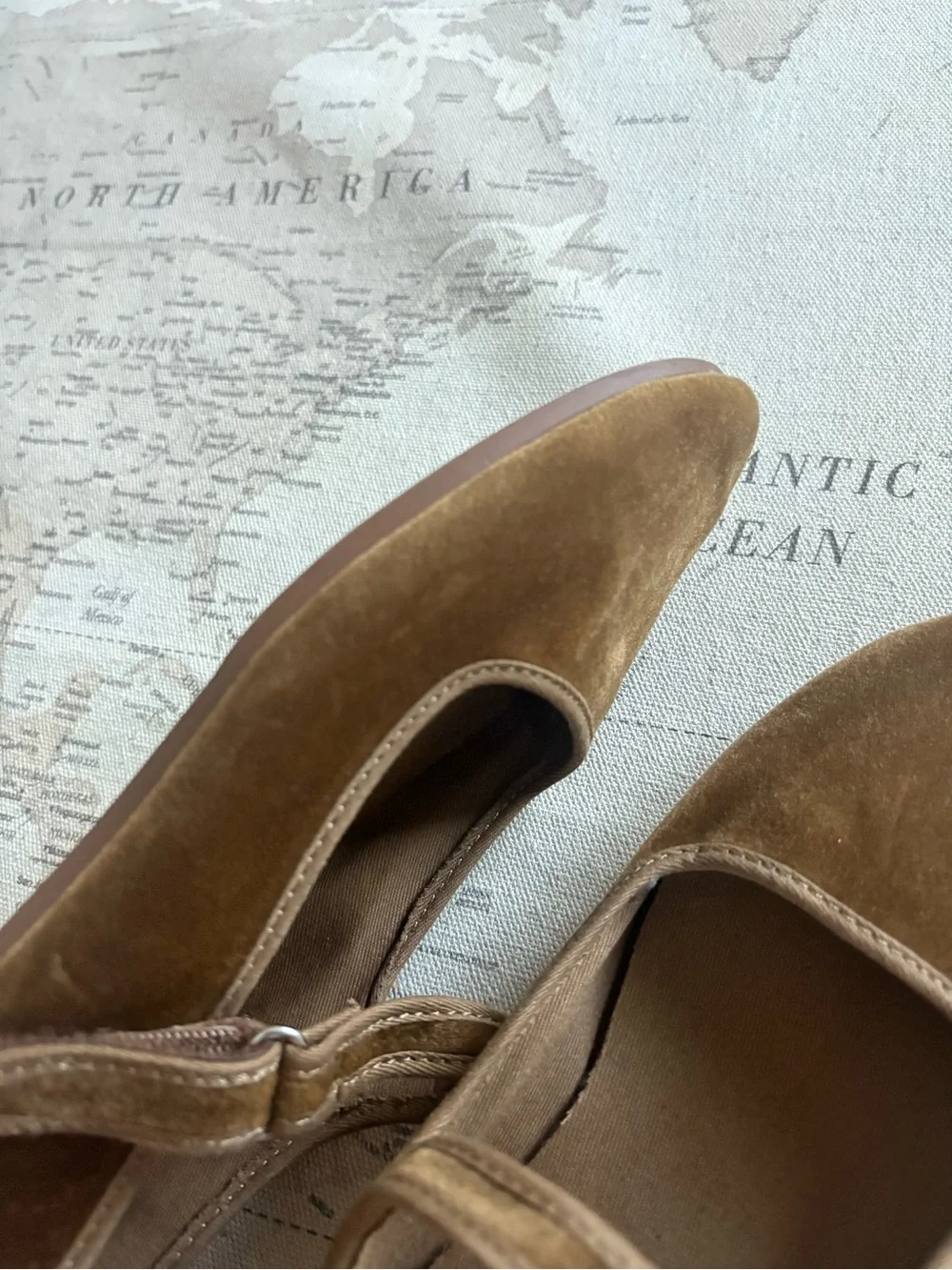 Zara velvet mary