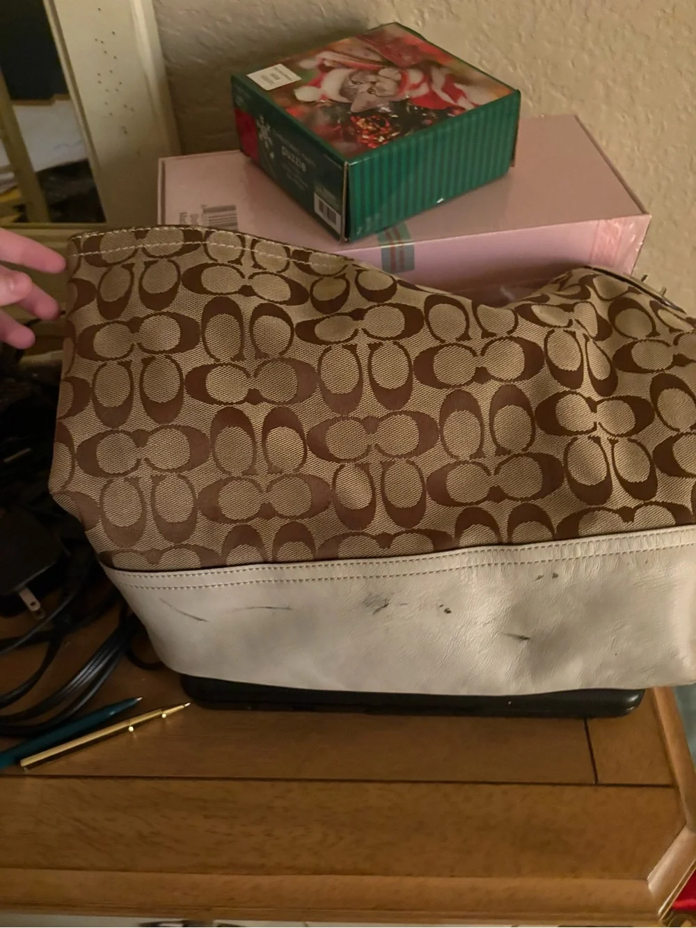 Coach hobo bag