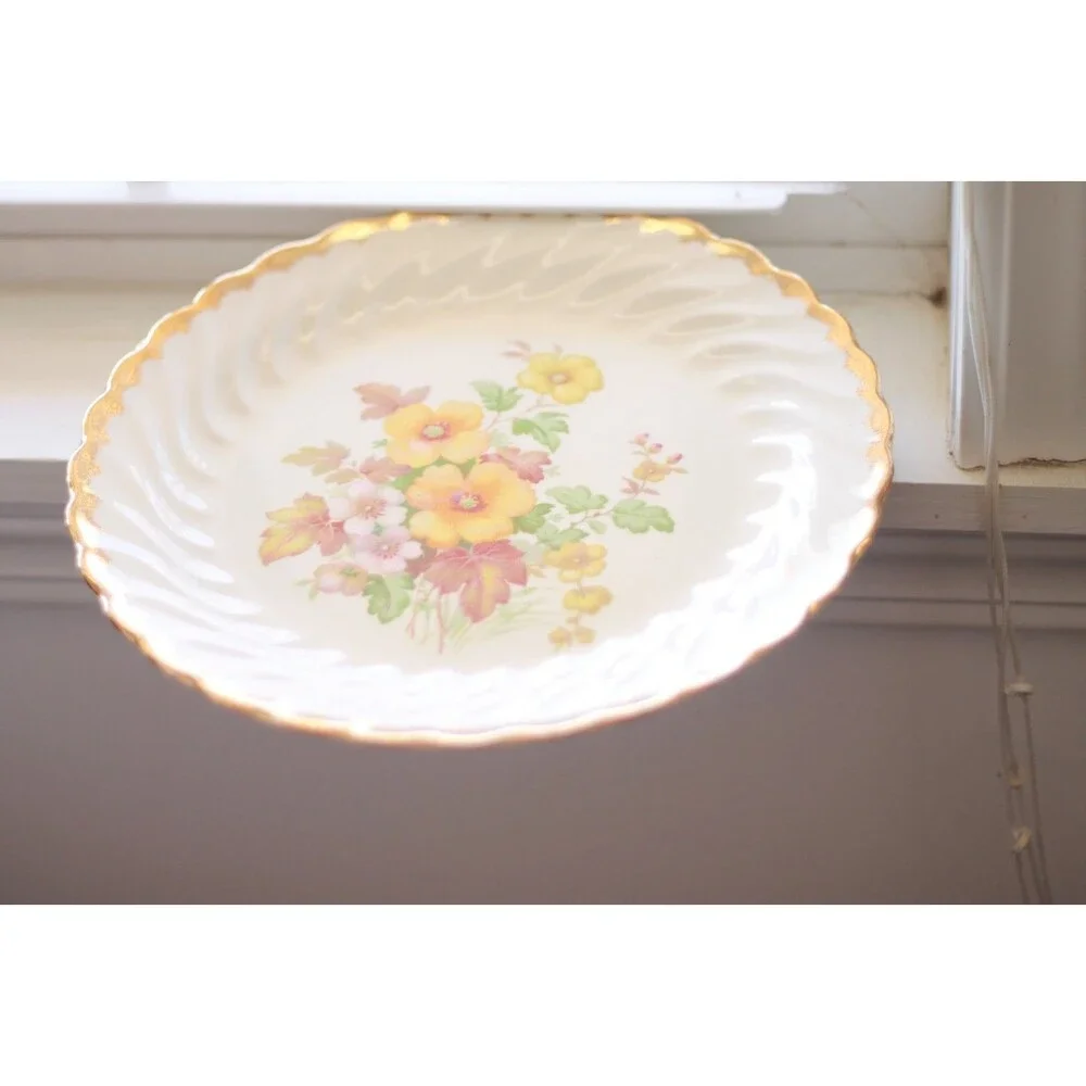 California Morn plate by Royal China 1960s