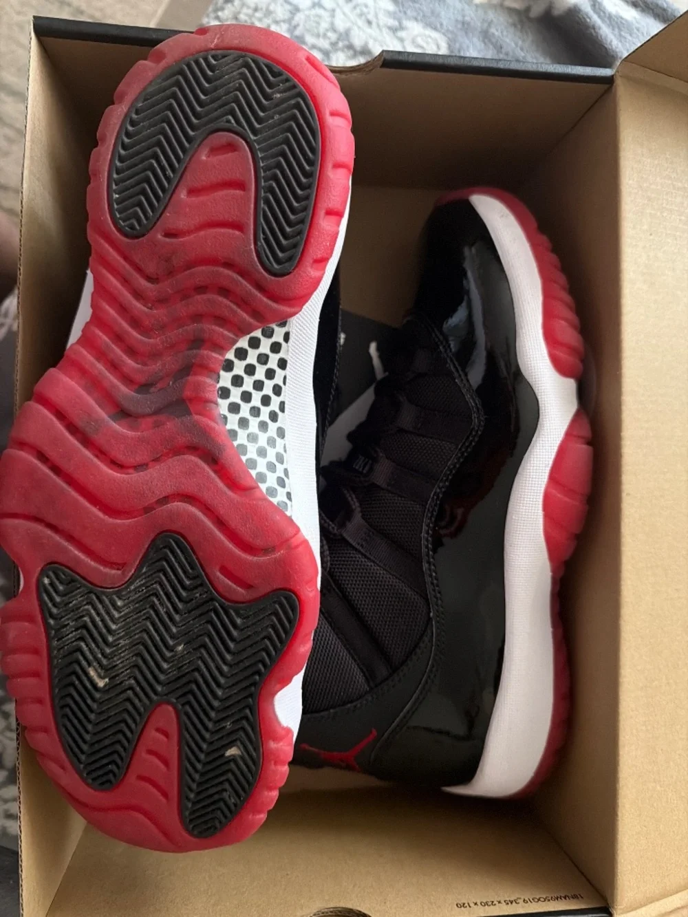 10.5 Bred Jordan 11 Retro