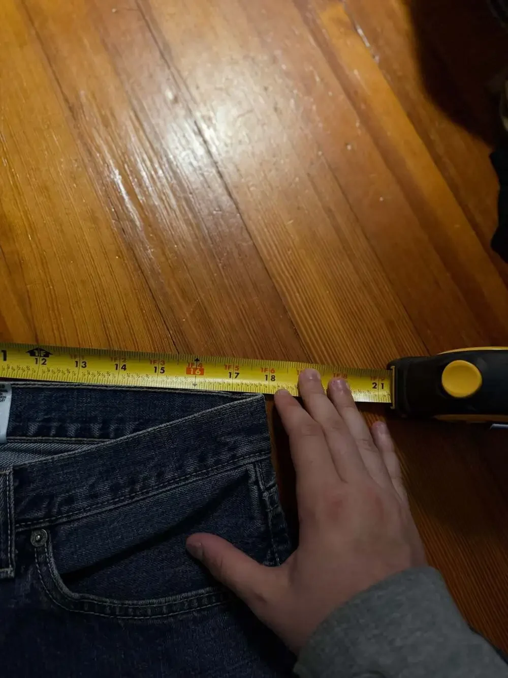 Levis levi 529
