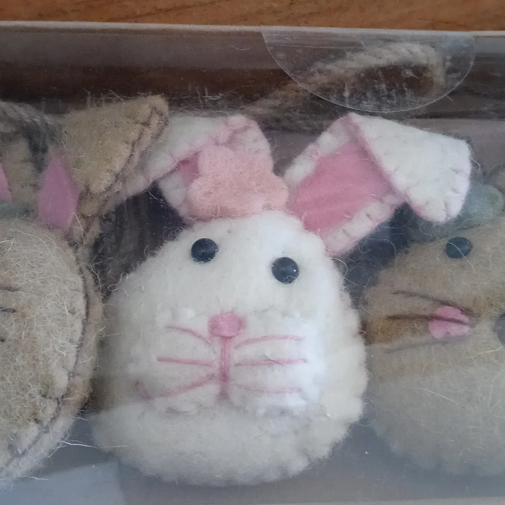 None easter bunny