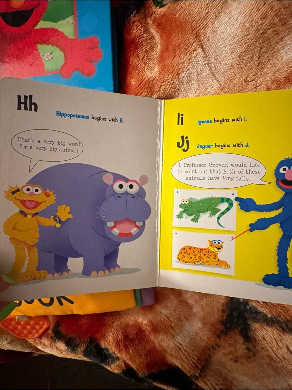 Sesame Street adorable piece