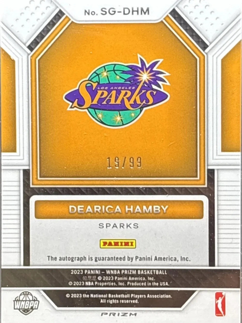 Panini design sports