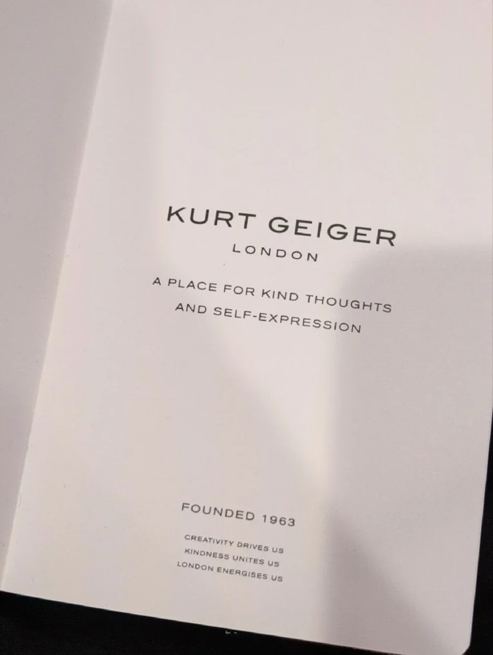 Kurt Geiger vibrant metallic