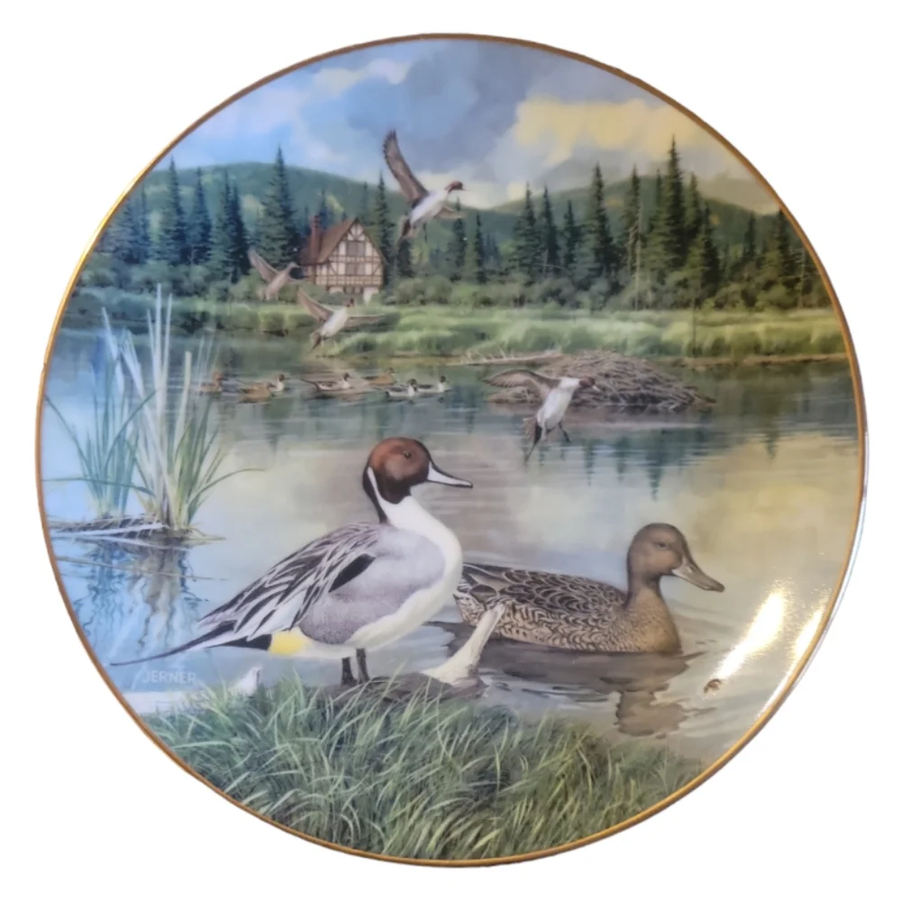 Vtg 86 The Pintail Collector Plate Living With Nature Jerner's Ducks Anas Acuta