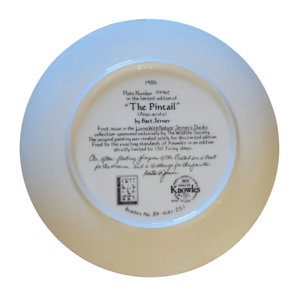 Vtg 86 The Pintail Collector Plate Living With Nature Jerner's Ducks Anas Acuta