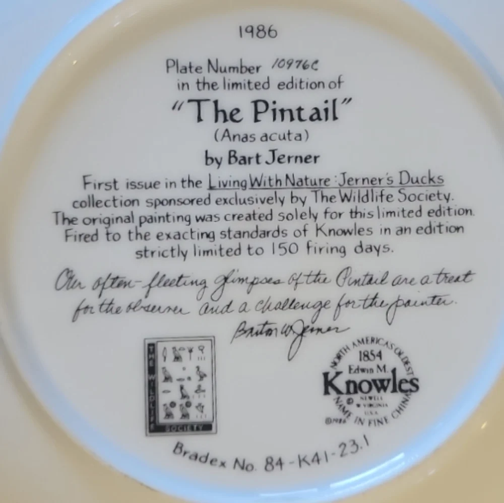 Vtg 86 The Pintail Collector Plate Living With Nature Jerner's Ducks Anas Acuta