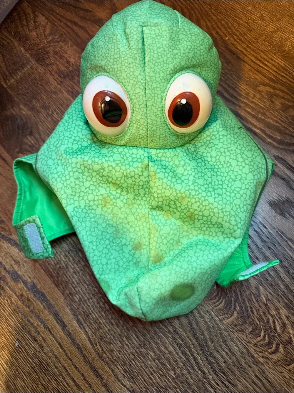 Arlo Disney Good Dinosaur Hat