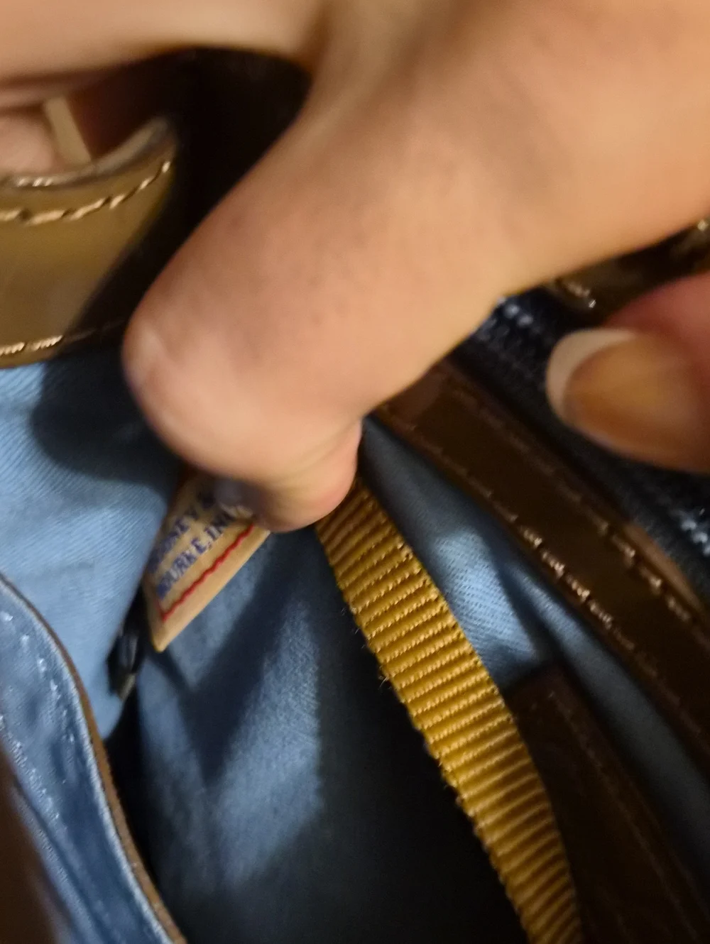 Dooney & Bourke dooney bourke