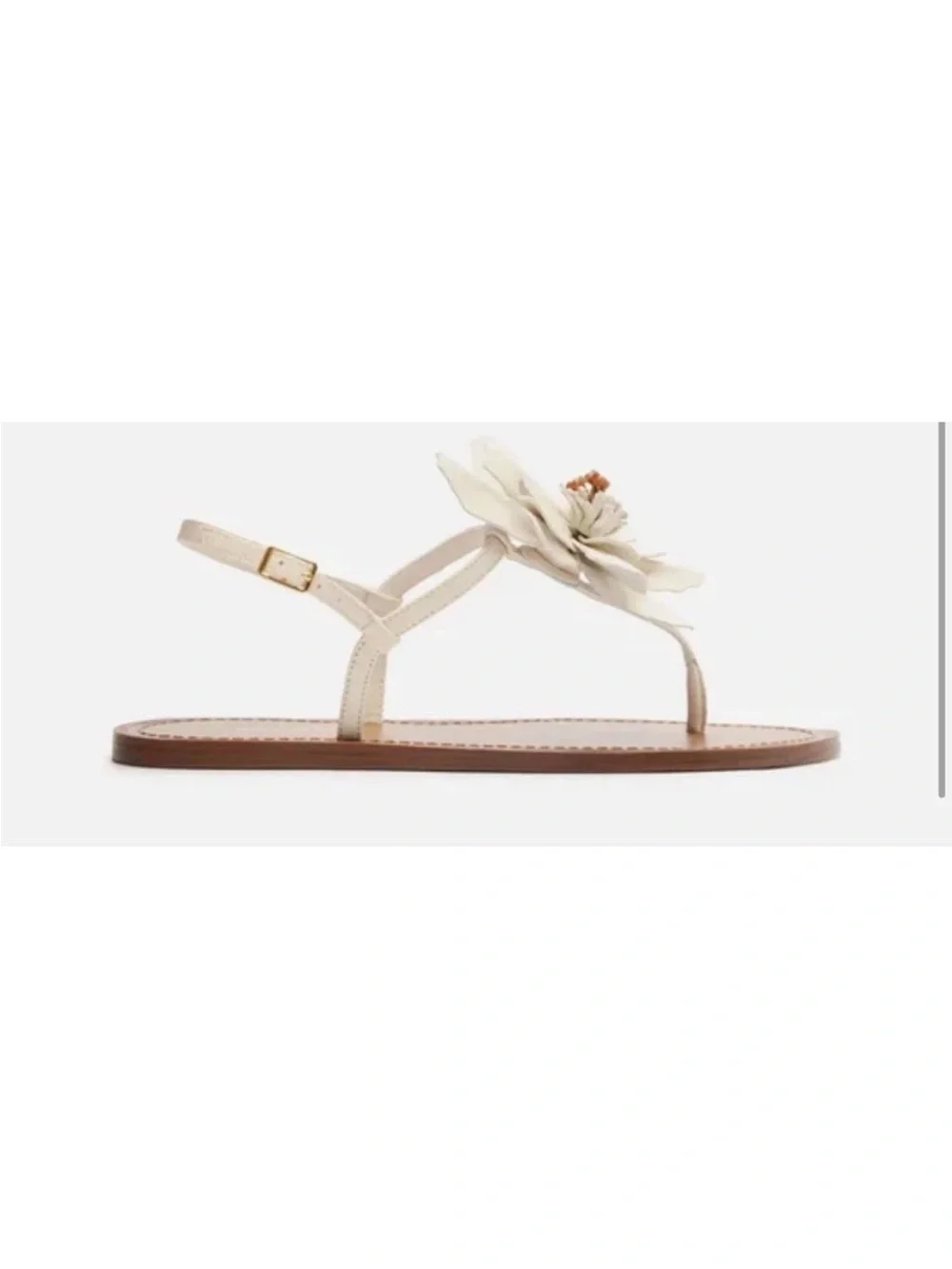 AREZZO Daisy Flat Sandal | Leather Greek Style Sandals