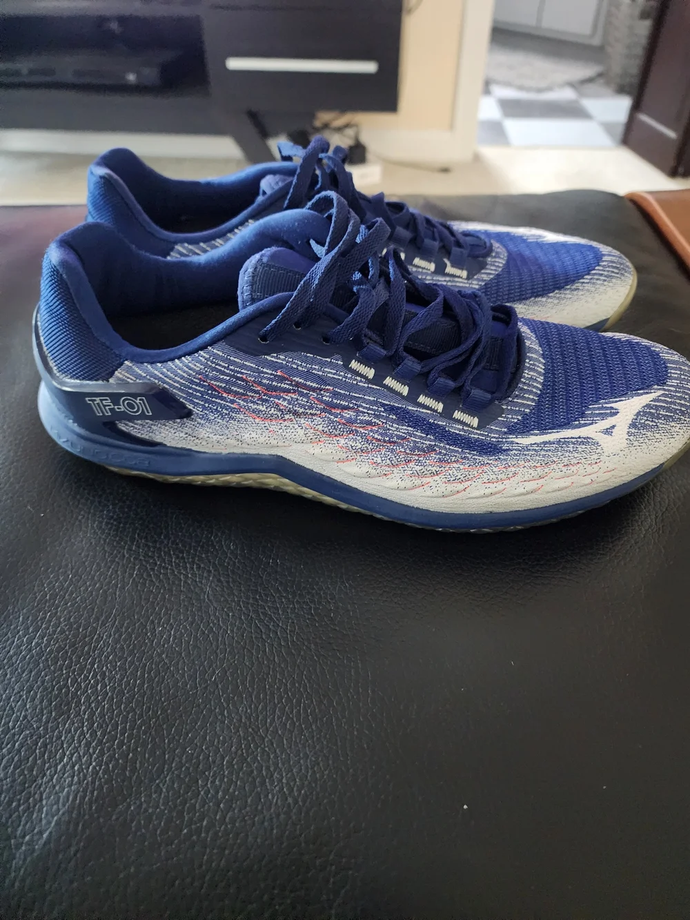 Mizuno TF-01 Running Shoes