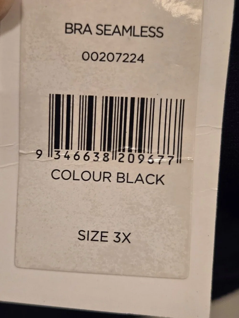 Avenue body seamless