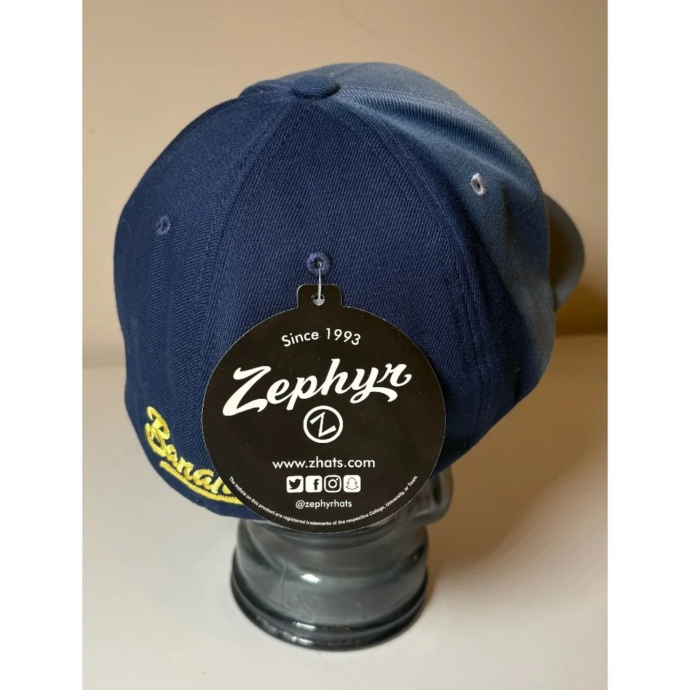 Zephyr savannah bananas