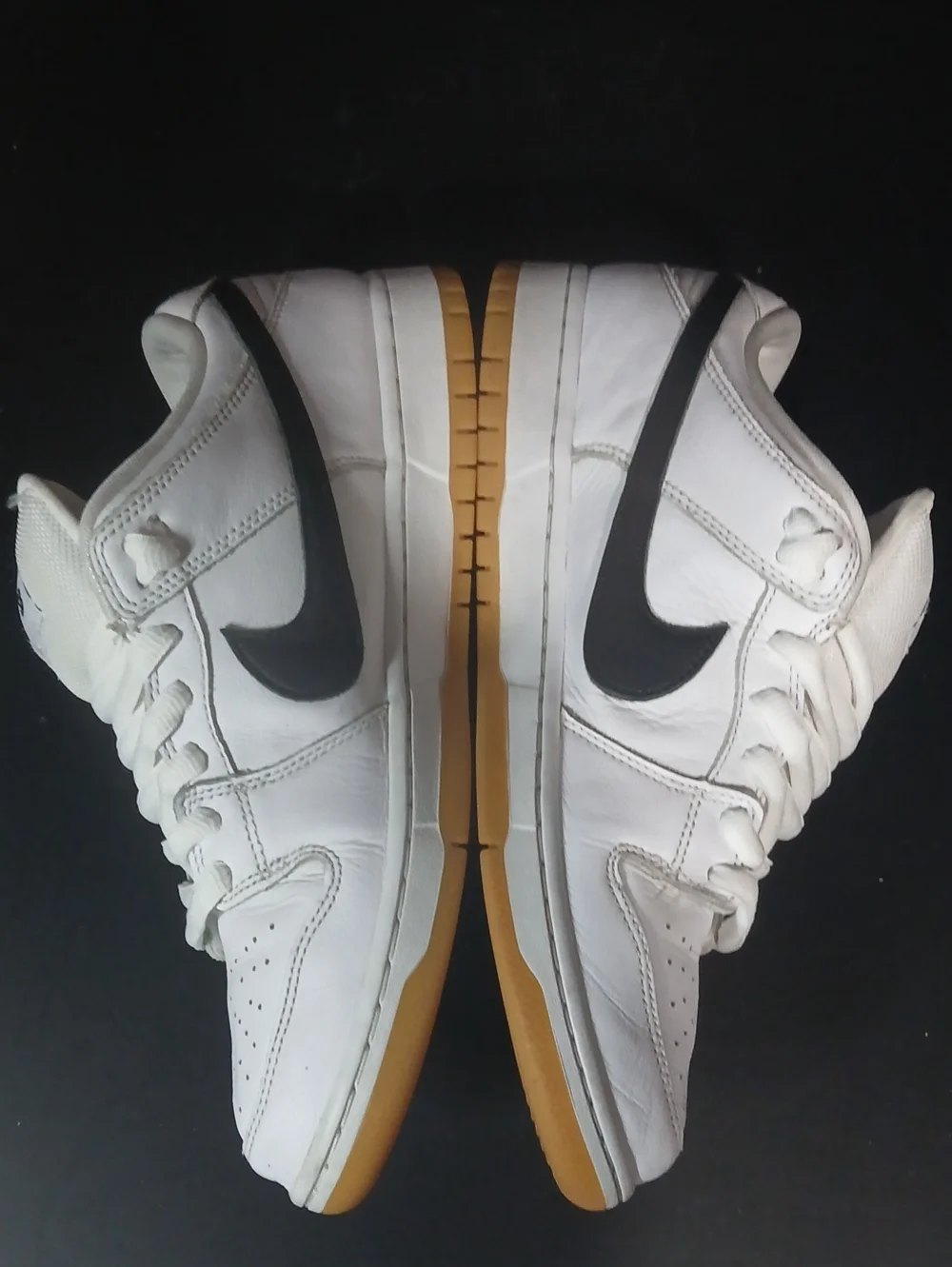 Nike sb dunk