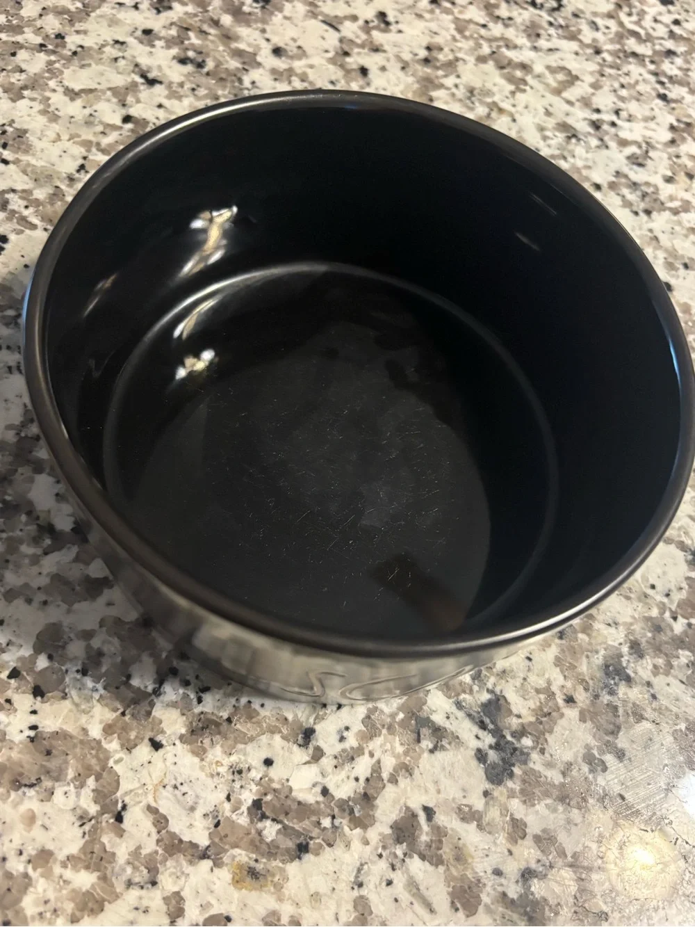 Rae Dunn Black Ceramic Pet Bowl with White Lettering scary cute
