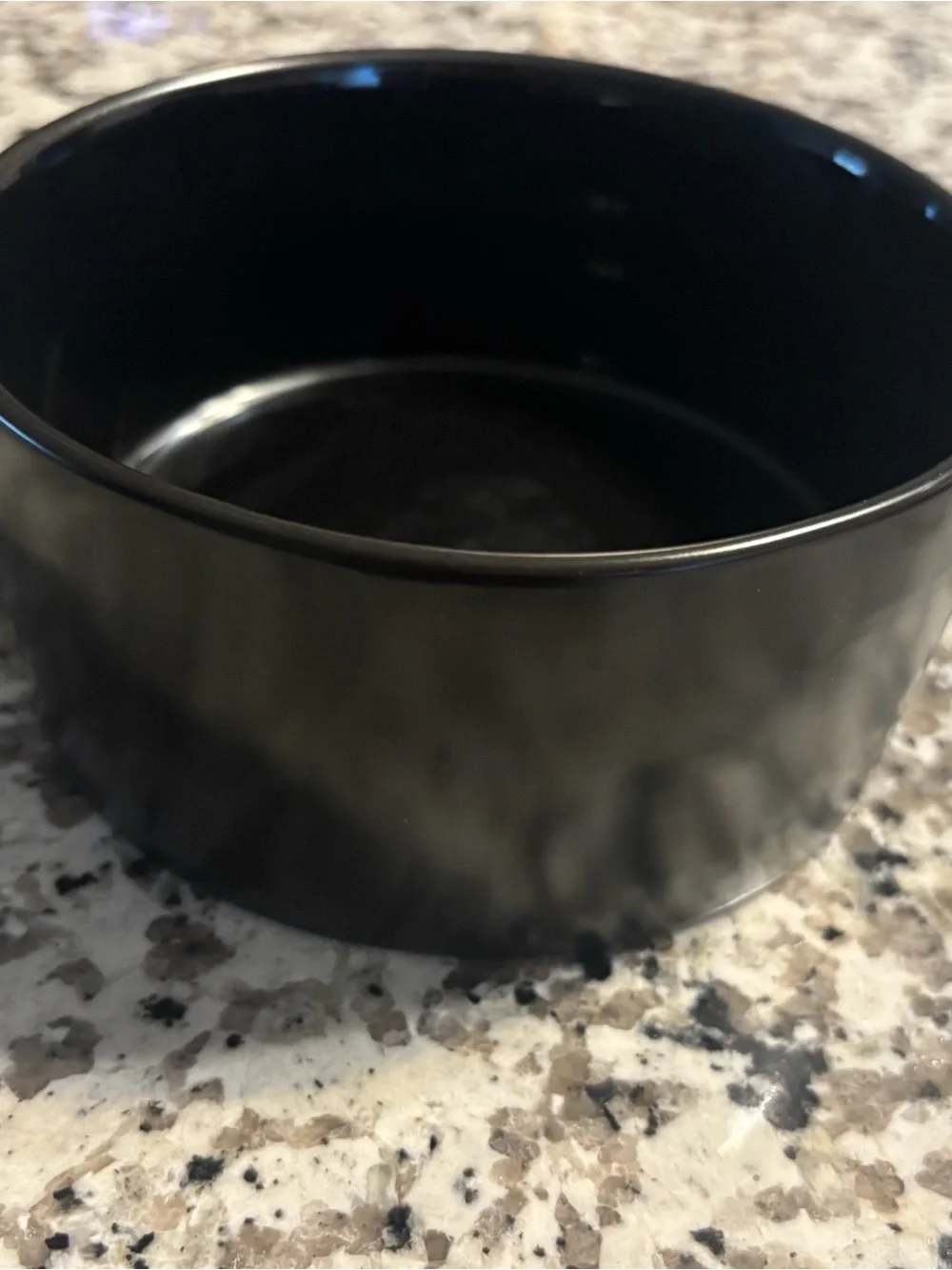 Rae Dunn Black Ceramic Pet Bowl with White Lettering scary cute