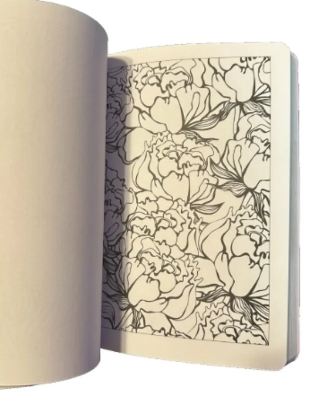 The Calm Coloring Book calm coloring
