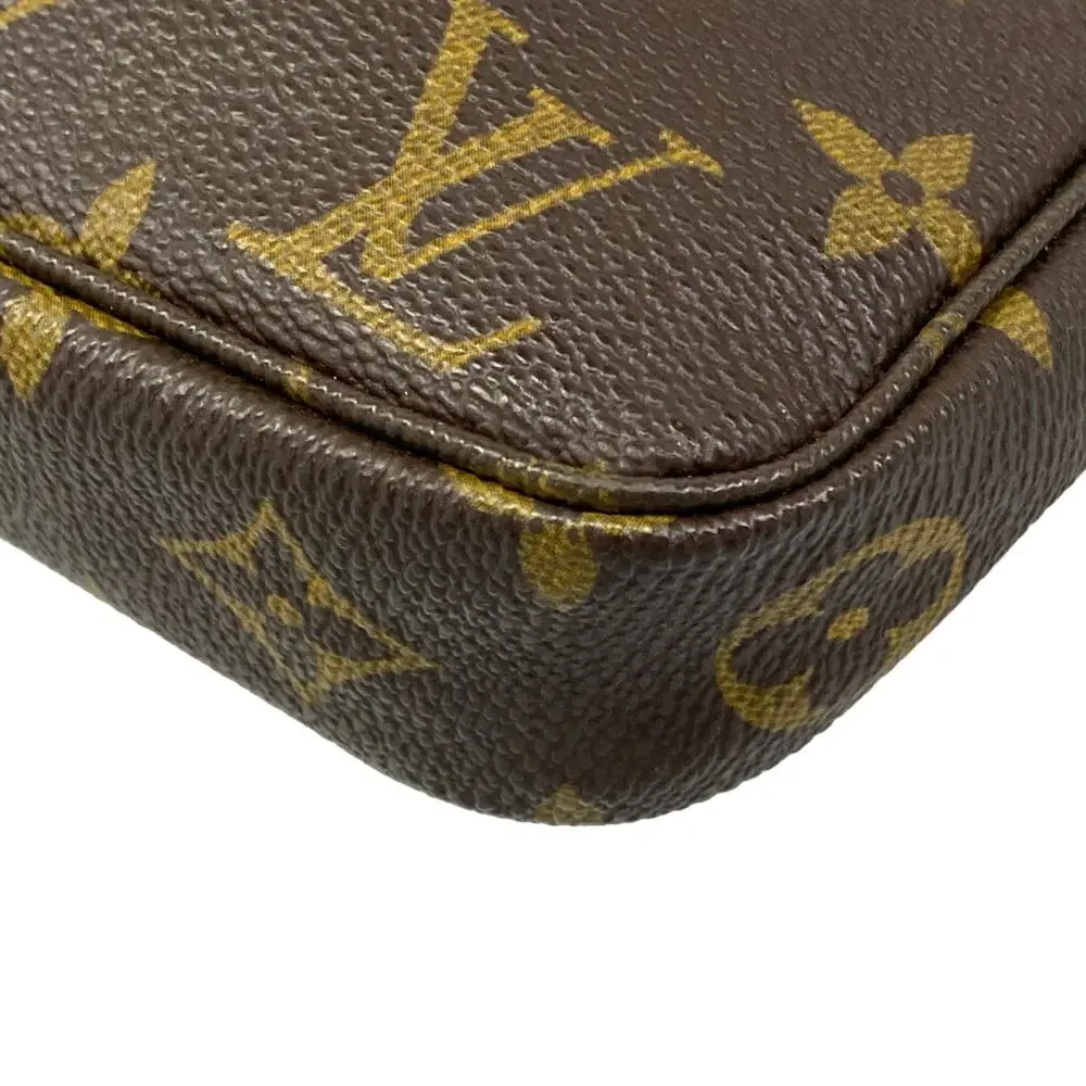 Louis Vuitton small canvas